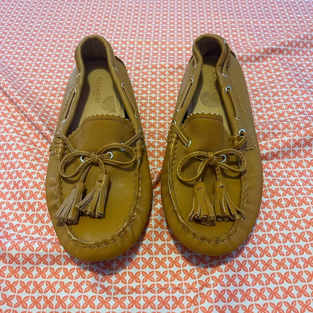Brand new leather coach shoes, never worn